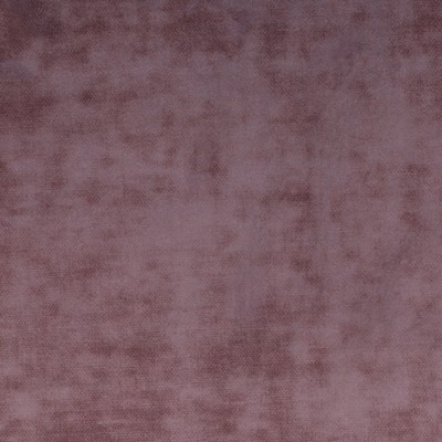 Silver State Cloud Nine Thistle